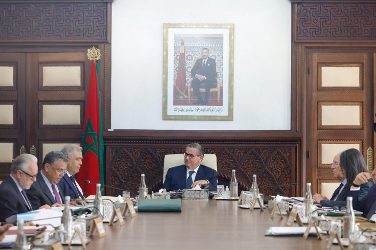 وزير الداخلية يستعرض بمجلس الحكومة استعدادات إجراء انتخابات شتنبر