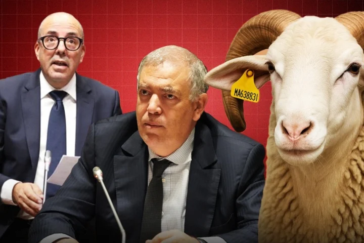 الداخلية تتدخل لضبط أسواق العيد و تستدعي الولاة والعمال لاجتماع عاجل